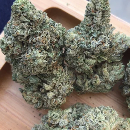 is kush indica or sativa, afghan kush vs hindu kush, afghan kush plant, buy afghan kush online, afghan kush strain benefits, afghan kush feminized marijuana seeds, afghan kush strain effects, afghan kush thca buy, afghan kush feminized marijuana seeds, afghan kush feminized marijuana, afghan kush strain for sale, afghan kush autoflower seeds, afghan marijuana seeds for sale, buy afghan kush seeds, afghan kush hemp seeds, royal king afghan kush seeds, afghan kush strain benefits, is kush indica or sativa, afghan kush indica strain, afghan kush strain effects, afghan kush strain flowering time, afghan kush vs hindu, afghani strain indica or sativa, afghan kush strain review